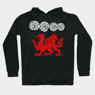 Welsh Dragon Spiral Rock Art Hoodie